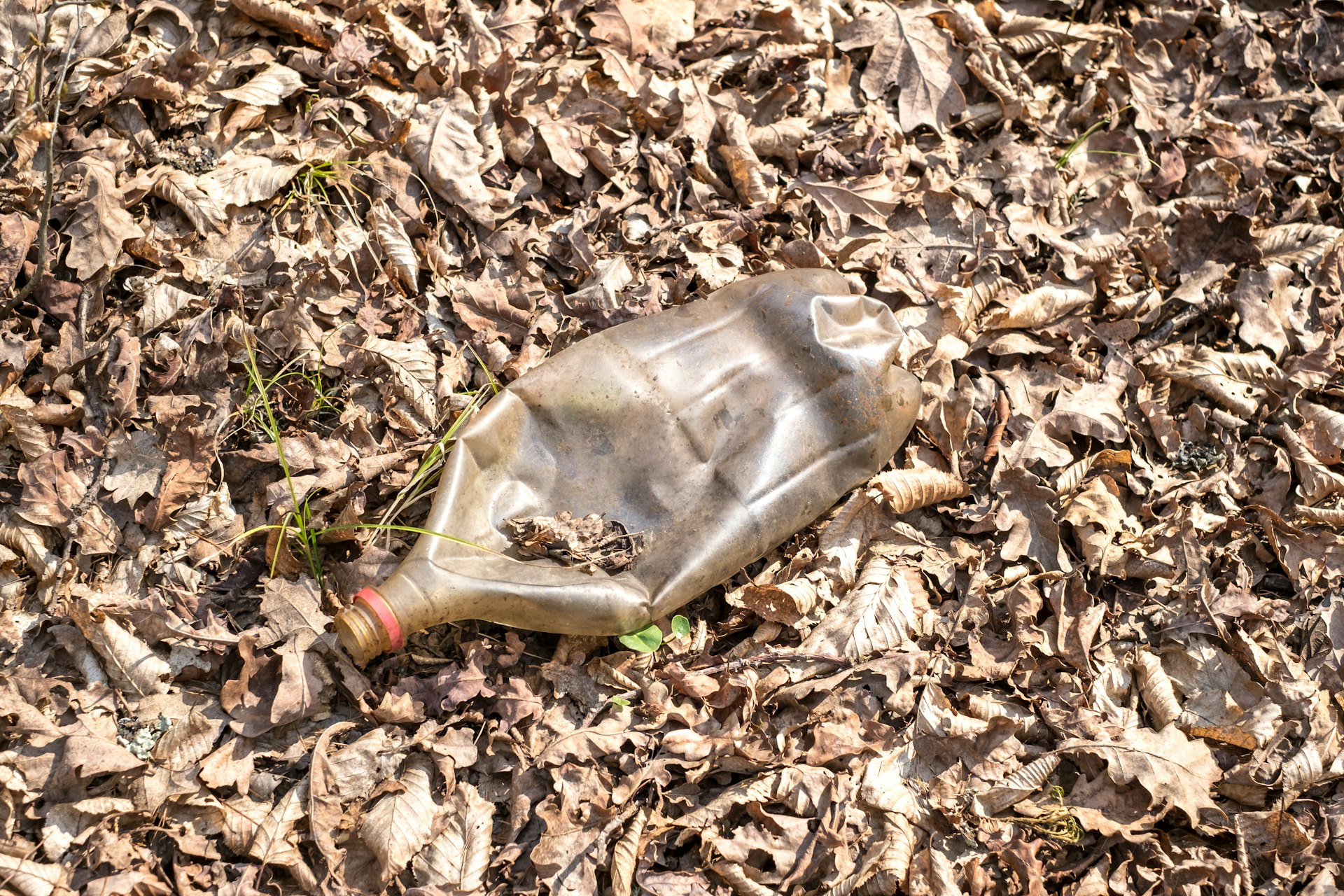 an empty glass bottle laying on the ground